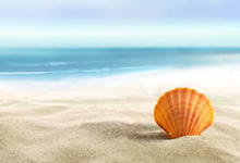 🎪上海美术电影制片厂经典动画合集【68.3GB】