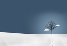 童年经典动漫大合集套装（7TB）[免费在线观看][免费下载][网盘资源][动漫合集]